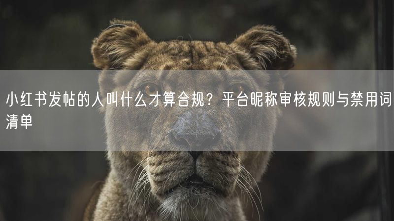 小红书发帖的人叫什么才算合规？平台昵称审核规则与禁用词清单