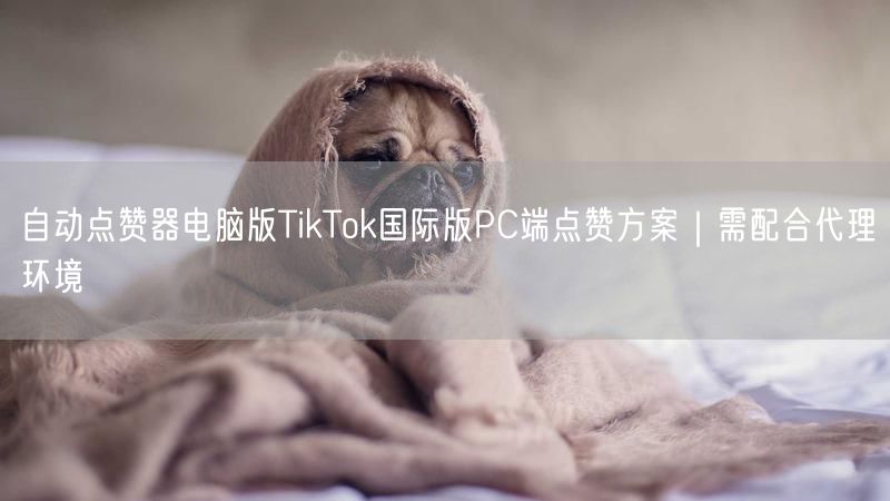 自动点赞器电脑版TikTok国际版PC端点赞方案｜需配合代理环境