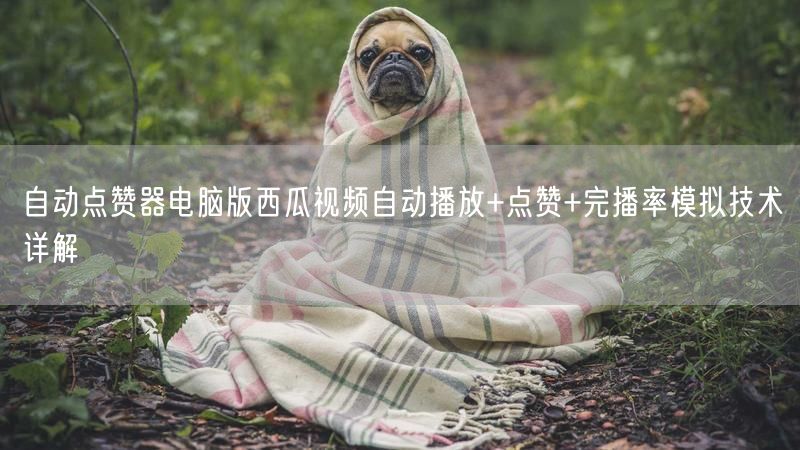 自动点赞器电脑版西瓜视频自动播放+点赞+完播率模拟技术详解