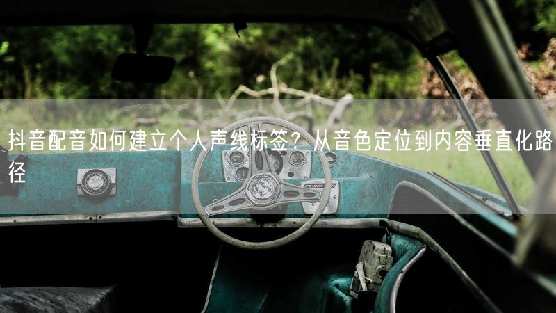 抖音配音如何建立个人声线标签？从音色定位到内容垂直化路径
