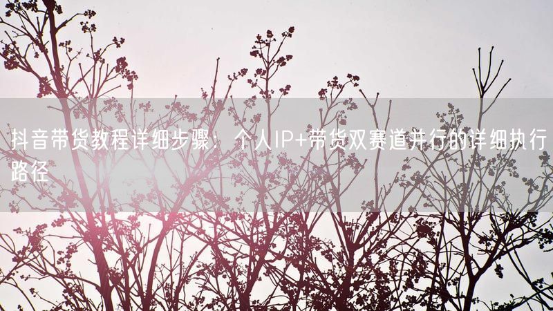 抖音带货教程详细步骤：个人IP+带货双赛道并行的详细执行路径