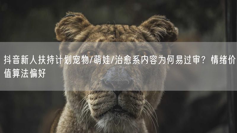 抖音新人扶持计划宠物/萌娃/治愈系内容为何易过审？情绪价值算法偏好