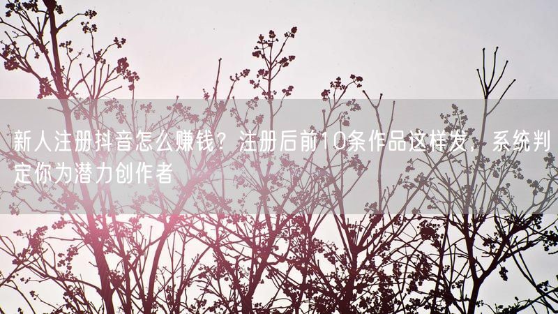 新人注册抖音怎么赚钱？注册后前10条作品这样发，系统判定你为潜力创作者