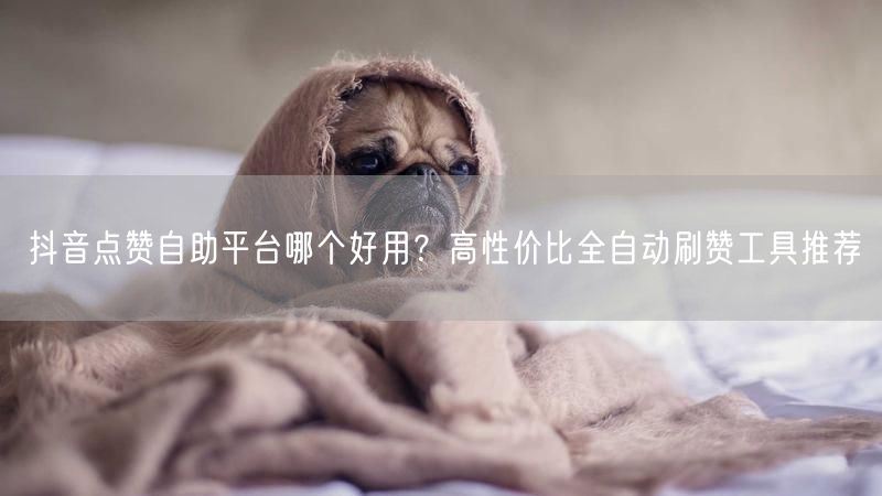 抖音点赞自助平台哪个好用？高性价比全自动刷赞工具推荐