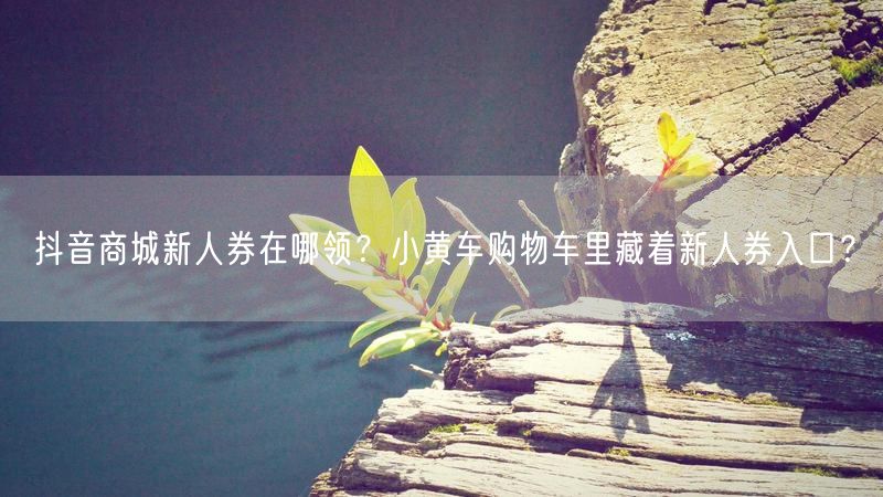 抖音商城新人券在哪领？小黄车购物车里藏着新人券入口？