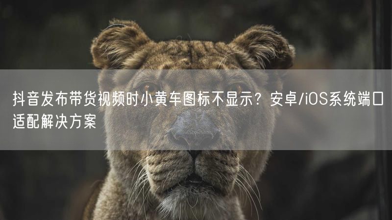 抖音发布带货视频时小黄车图标不显示？安卓/iOS系统端口适配解决方案