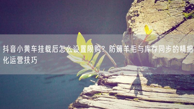 抖音小黄车挂载后怎么设置限购？防薅羊毛与库存同步的精细化运营技巧