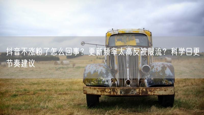 抖音不涨粉了怎么回事？更新频率太高反被限流？科学日更节奏建议
