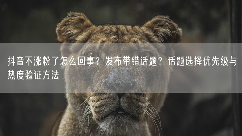 抖音不涨粉了怎么回事？发布带错话题？话题选择优先级与热度验证方法