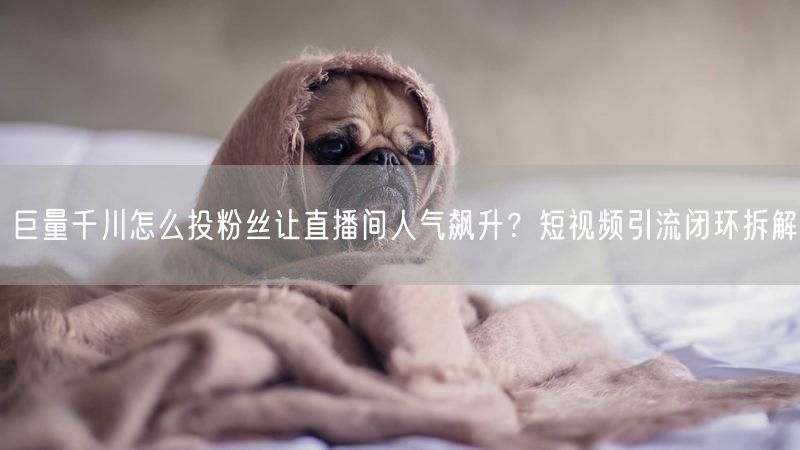 巨量千川怎么投粉丝让直播间人气飙升？短视频引流闭环拆解