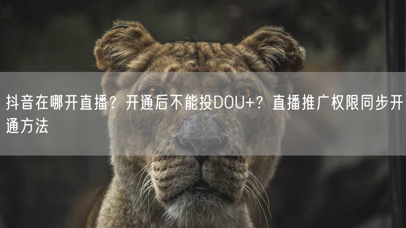 抖音在哪开直播？开通后不能投DOU+？直播推广权限同步开通方法