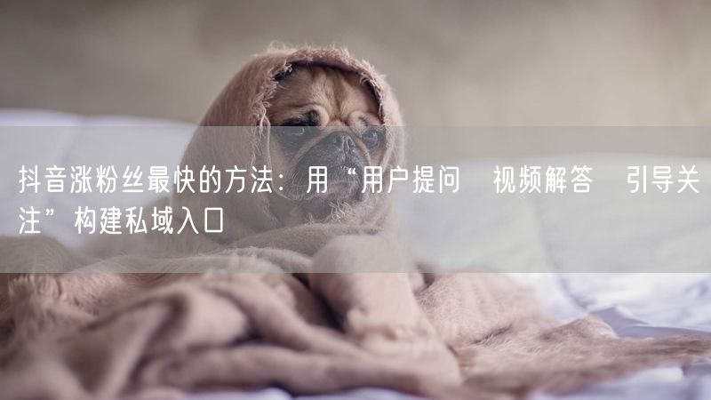 抖音涨粉丝最快的方法：用“用户提问→视频解答→引导关注”构建私域入口