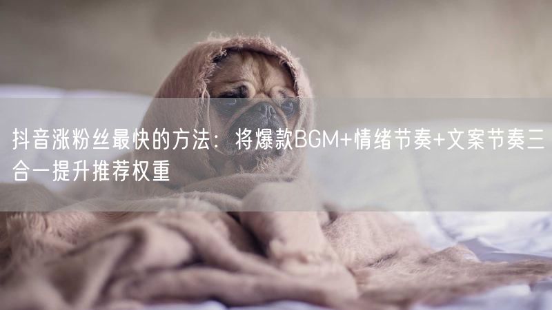 抖音涨粉丝最快的方法：将爆款BGM+情绪节奏+文案节奏三合一提升推荐权重