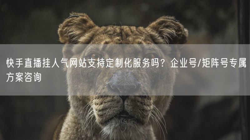 快手直播挂人气网站支持定制化服务吗？企业号/矩阵号专属方案咨询