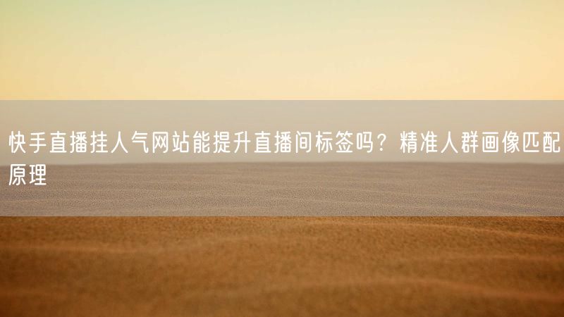 快手直播挂人气网站能提升直播间标签吗？精准人群画像匹配原理