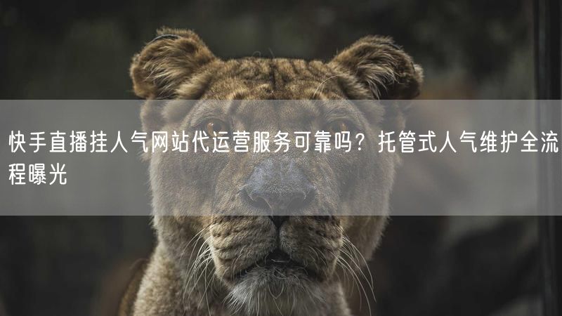 快手直播挂人气网站代运营服务可靠吗？托管式人气维护全流程曝光