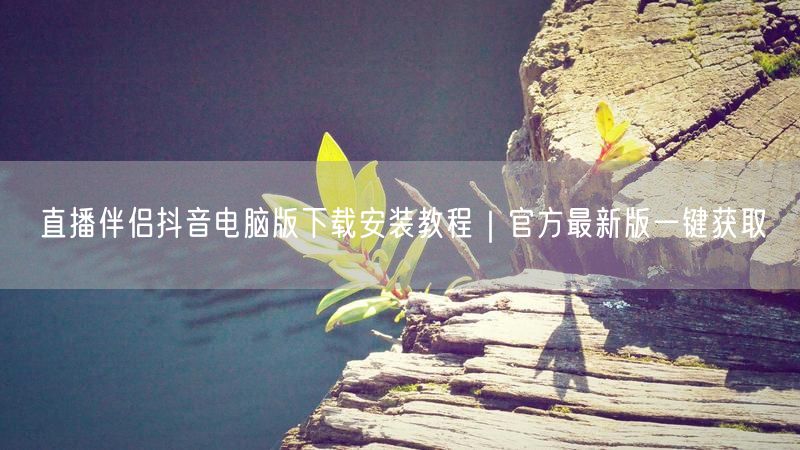 直播伴侣抖音电脑版下载安装教程｜官方最新版一键获取
