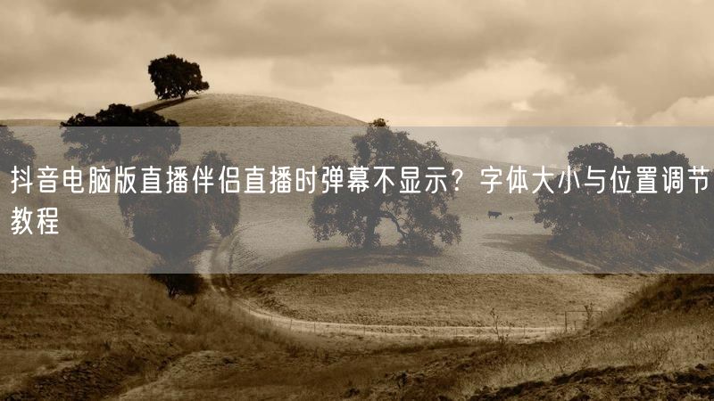 抖音电脑版直播伴侣直播时弹幕不显示？字体大小与位置调节教程