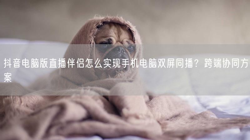 抖音电脑版直播伴侣怎么实现手机电脑双屏同播？跨端协同方案