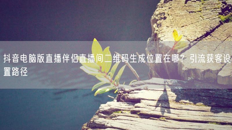 抖音电脑版直播伴侣直播间二维码生成位置在哪？引流获客设置路径