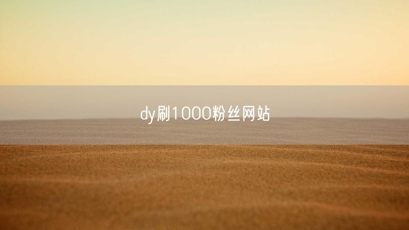 dy刷1000粉丝网站