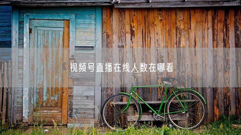 视频号直播在线人数在哪看