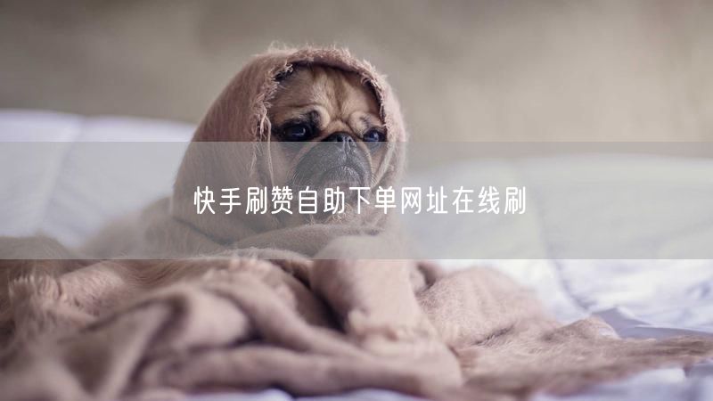 快手刷赞自助下单网址在线刷