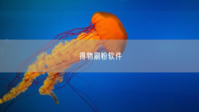 得物刷粉软件