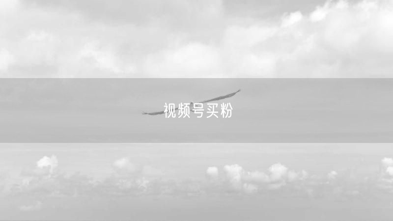 视频号买粉