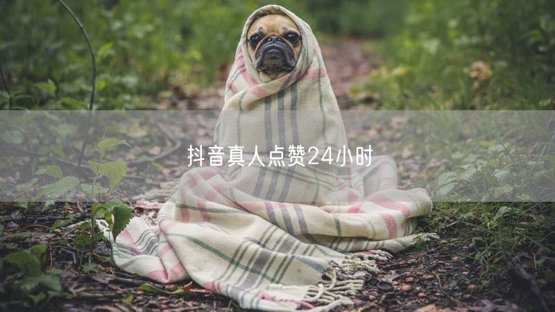 抖音真人点赞24小时