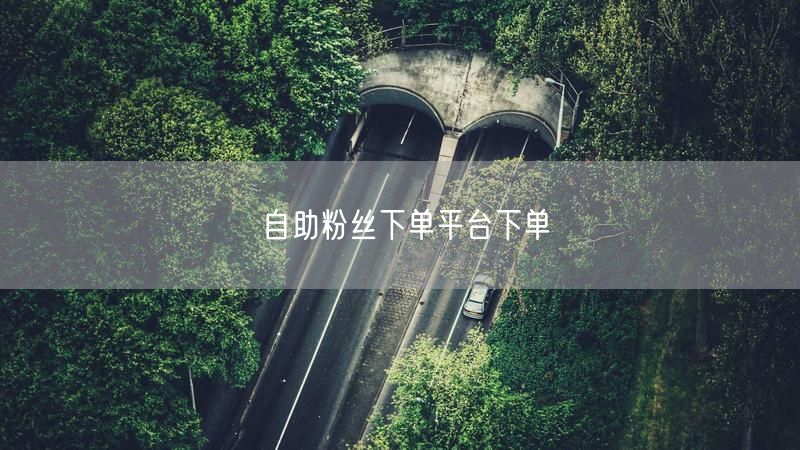自助粉丝下单平台下单