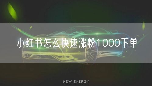 小红书怎么快速涨粉1000下单