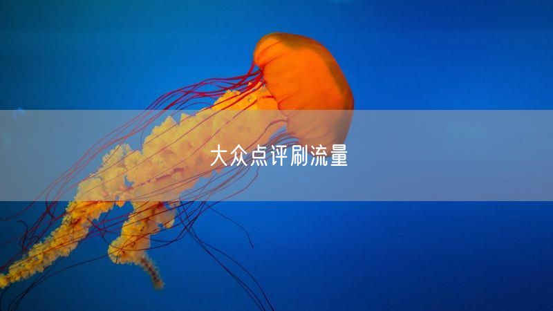 大众点评刷流量