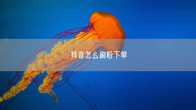 抖音怎么刷粉下单