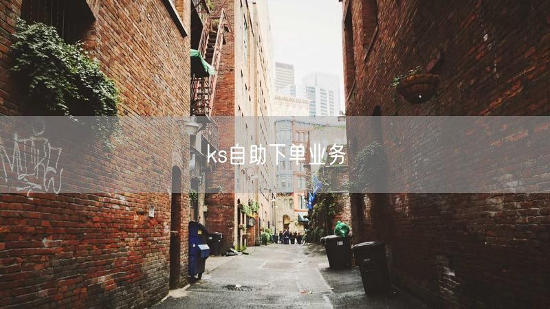 ks自助下单业务