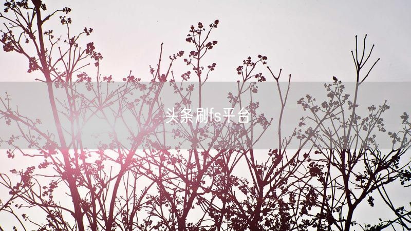 头条刷fs平台