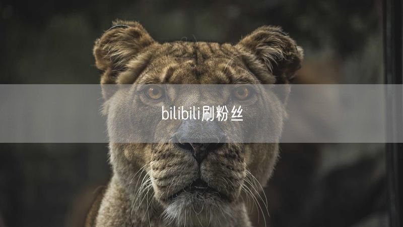 bilibili刷粉丝