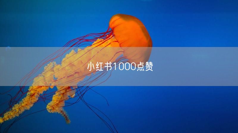 小红书1000点赞