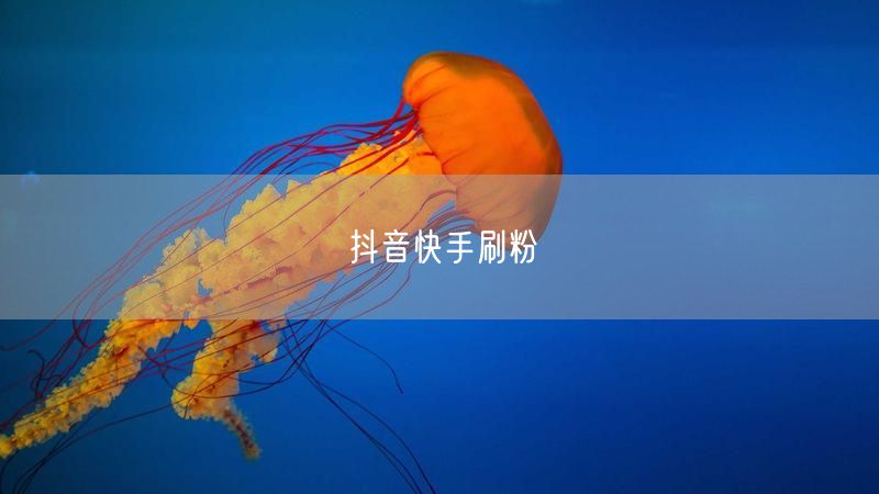 抖音快手刷粉