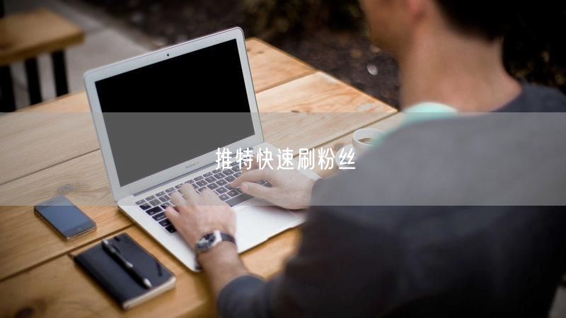 推特快速刷粉丝