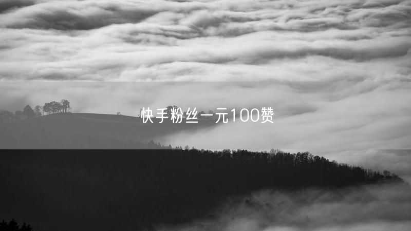 快手粉丝一元100赞