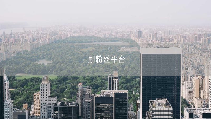 刷粉丝平台