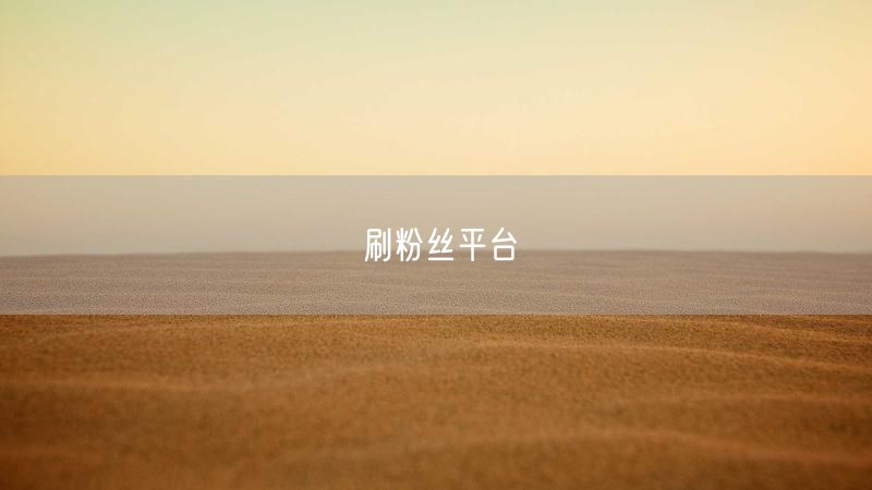刷粉丝平台