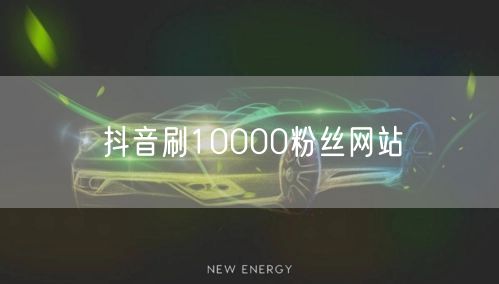 抖音刷10000粉丝网站