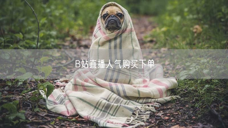 B站直播人气购买下单