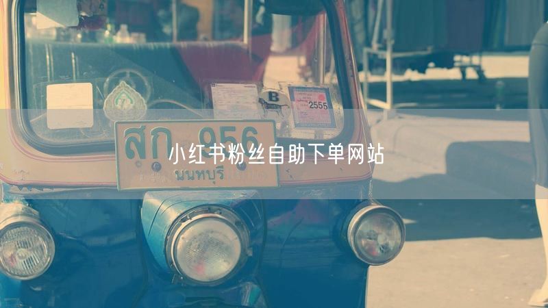 小红书粉丝自助下单网站