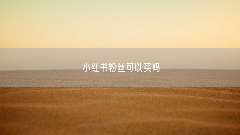 小红书粉丝可以买吗