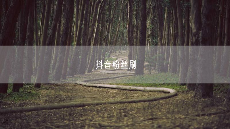 抖音粉丝刷