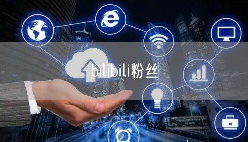 bilibili粉丝