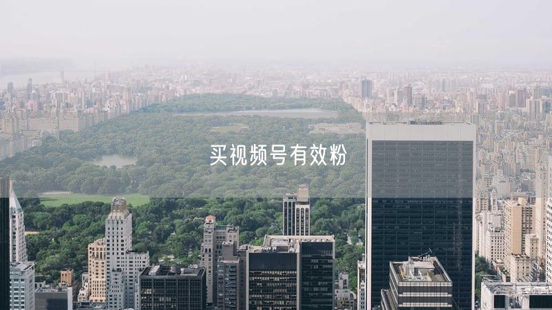 买视频号有效粉